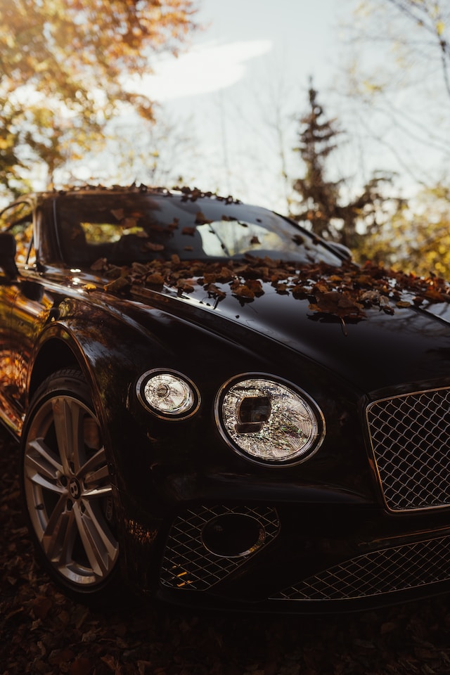 Reasons Why the Bentley Continental GT is a Luxury Car Like No Other